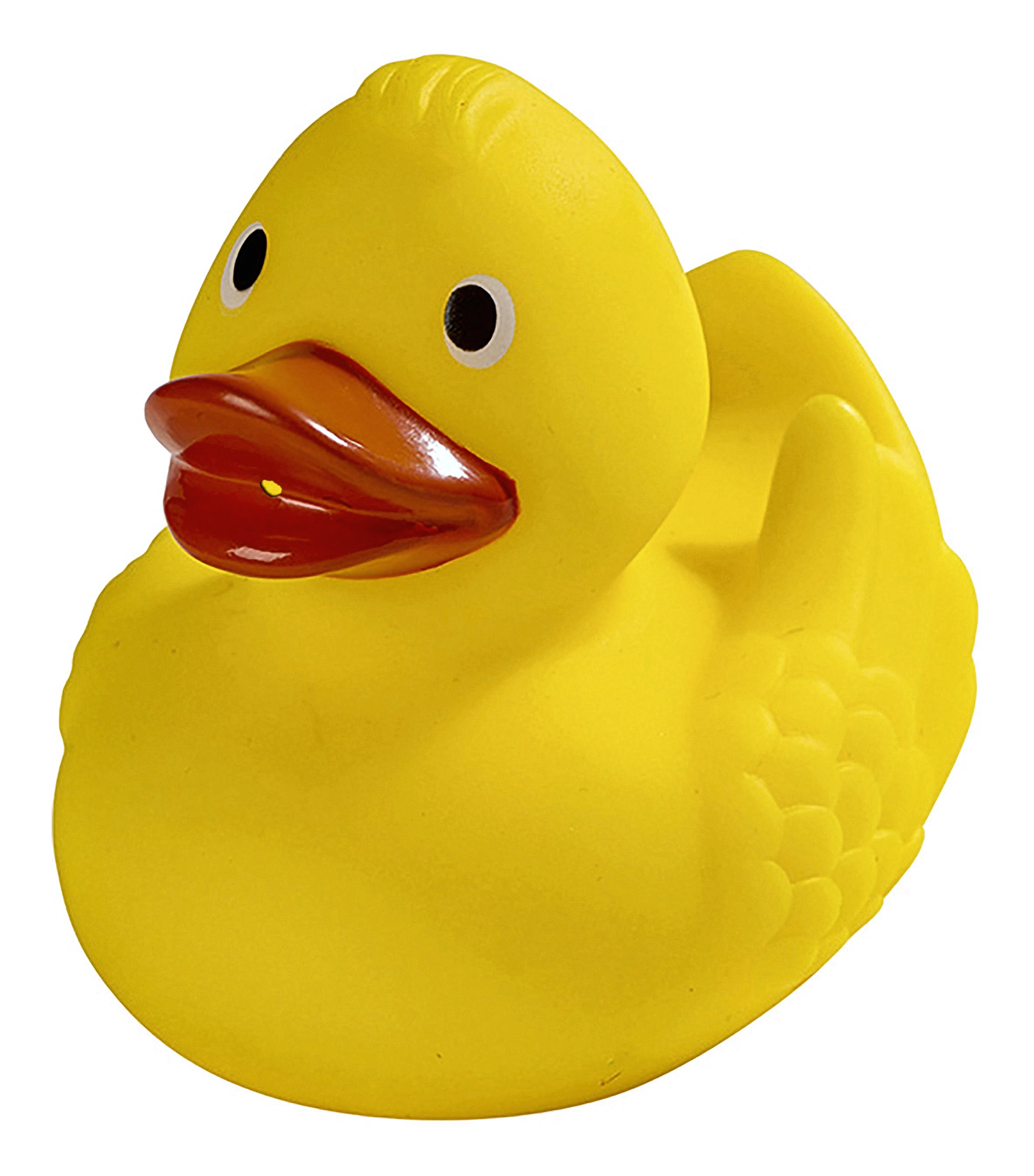 Schnabels® Renn-Ente mit Metallplatte