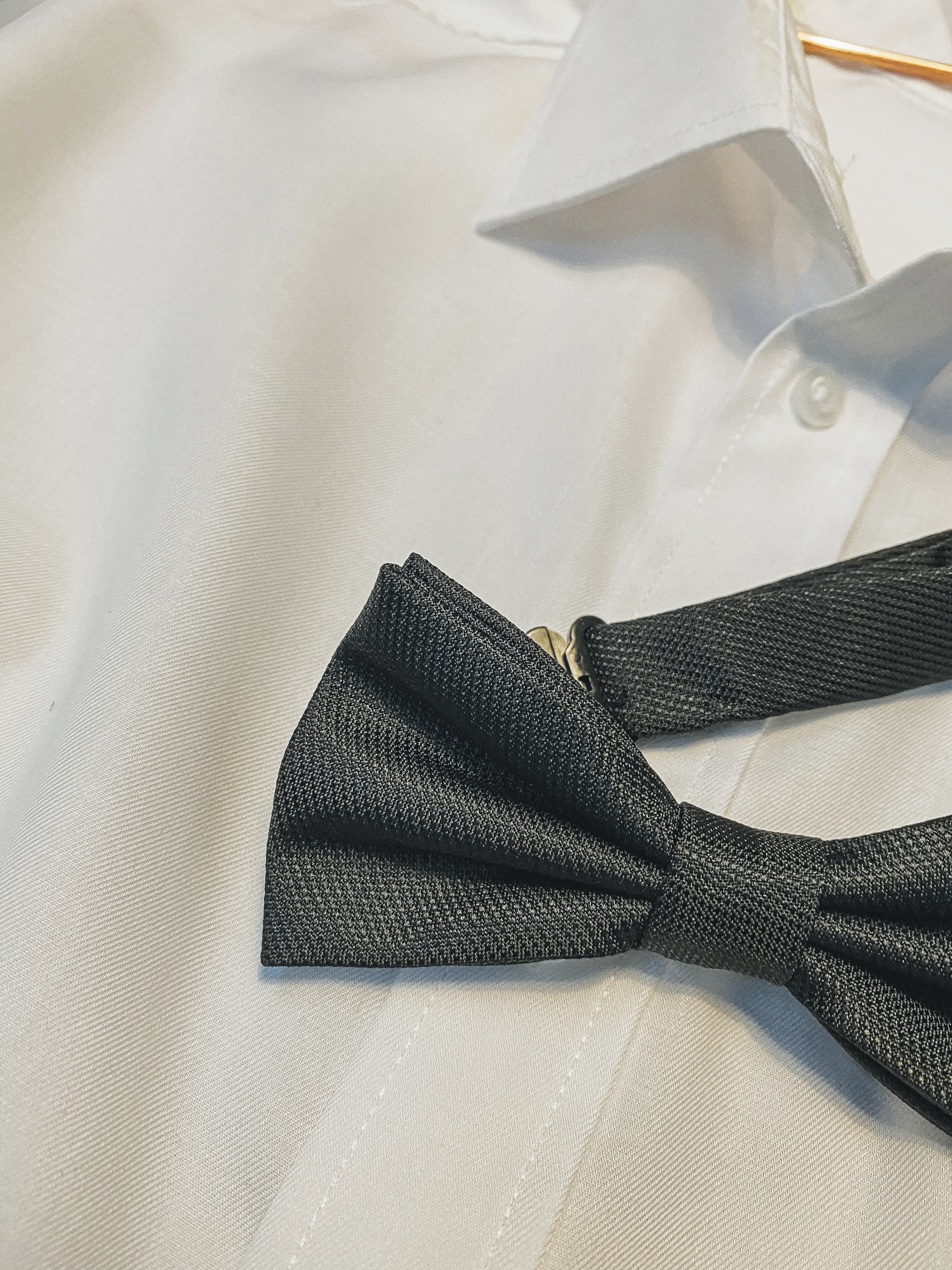 Pre-Tied Bow Tie Teddy